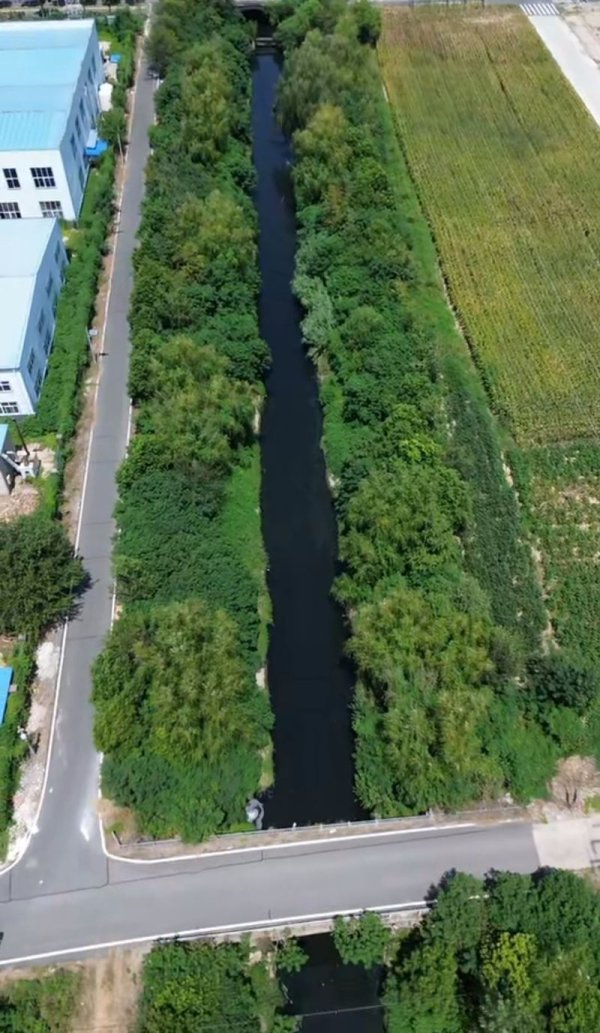 港联证券 湖北孝感一河流被曝成“黑水河”散发刺鼻药味，当地已展开调查