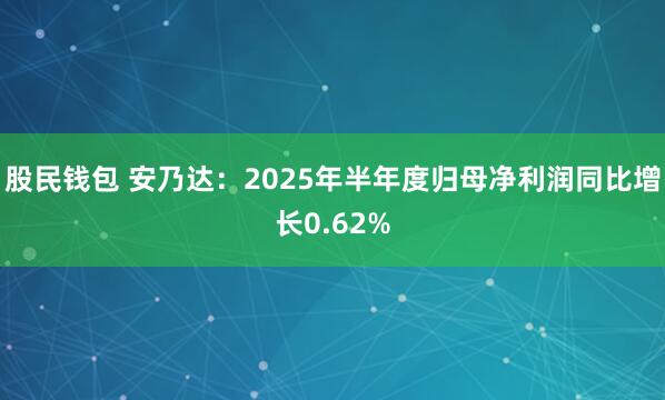 股民钱包 安乃达：2025年半年度归母净利润同比增长0.62%
