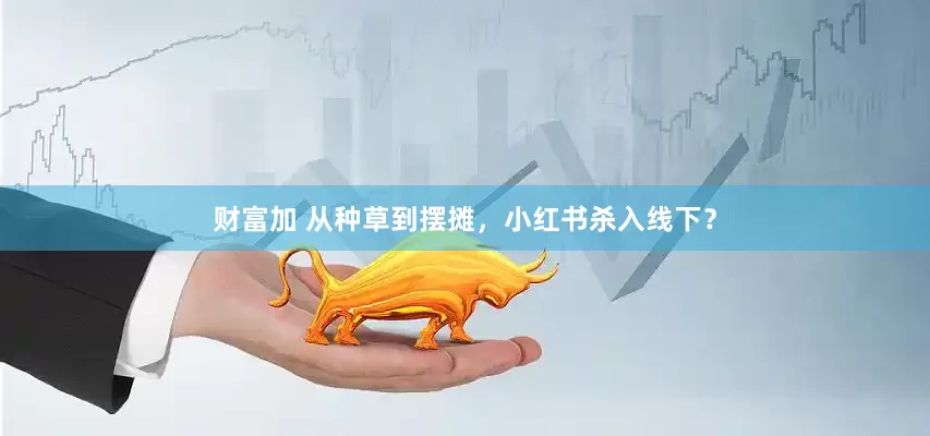 财富加 从种草到摆摊，小红书杀入线下？