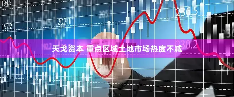 天戈资本 重点区域土地市场热度不减