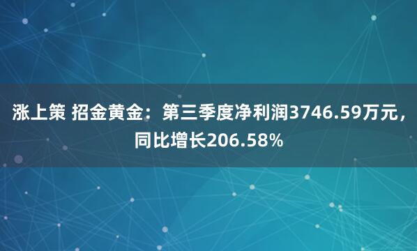 涨上策 招金黄金：第三季度净利润3746.59万元，同比增长206.58%